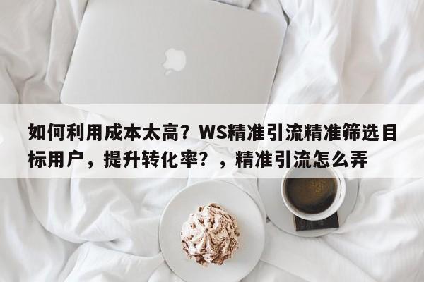 如何利用成本太高？WS精准引流精准筛选目标用户，提升转化率？，精准引流怎么弄