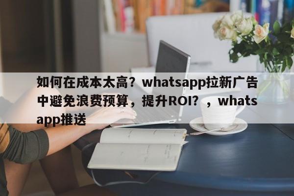 如何在成本太高?whatsapp拉新广告中避免浪费预算,提升ROI?,whatsapp推送