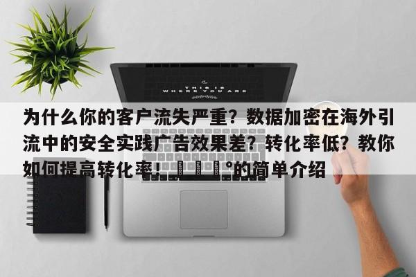 为什么你的客户流失严重?数据加密在海外引流中的安全实践广告效果差?转化率低?教你如何提高转化率!💰的简单介绍
