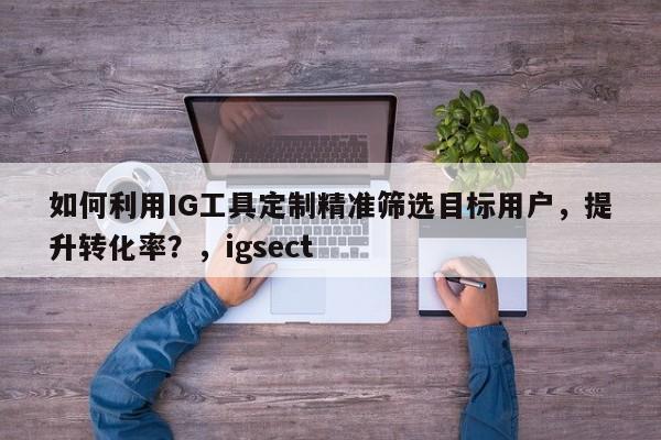 如何利用IG工具定制精准筛选目标用户,提升转化率?,igsect