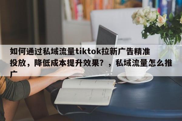 如何通过私域流量tiktok拉新广告精准投放，降低成本提升效果？，私域流量怎么推广