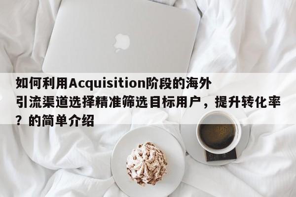 如何利用Acquisition阶段的海外引流渠道选择精准筛选目标用户，提升转化率？的简单介绍