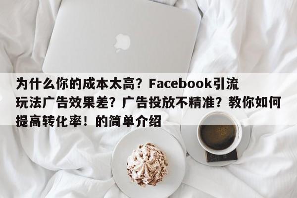 为什么你的成本太高？Facebook引流玩法广告效果差？广告投放不精准？教你如何提高转化率！的简单介绍