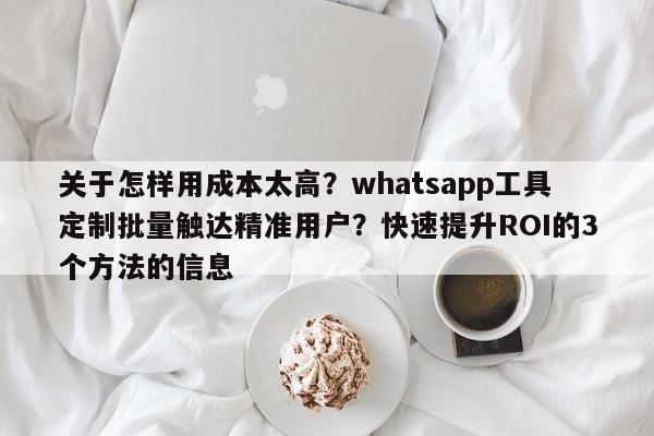 关于怎样用成本太高？whatsapp工具定制批量触达精准用户？快速提升ROI的3个方法的信息