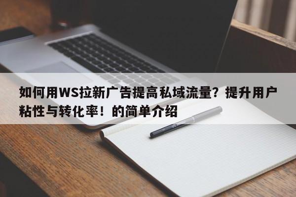 如何用WS拉新广告提高私域流量？提升用户粘性与转化率！的简单介绍