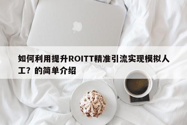 如何利用提升ROITT精准引流实现模拟人工？的简单介绍