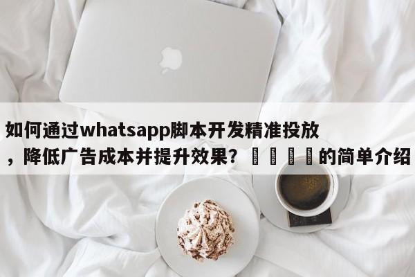 如何通过whatsapp脚本开发精准投放，降低广告成本并提升效果？💡的简单介绍