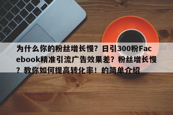 为什么你的粉丝增长慢？日引300粉Facebook精准引流广告效果差？粉丝增长慢？教你如何提高转化率！的简单介绍