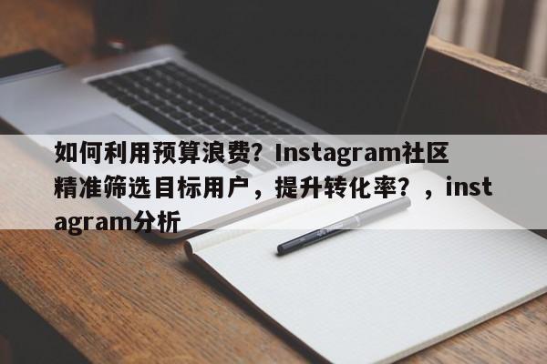 如何利用预算浪费？Instagram社区精准筛选目标用户，提升转化率？，instagram分析
