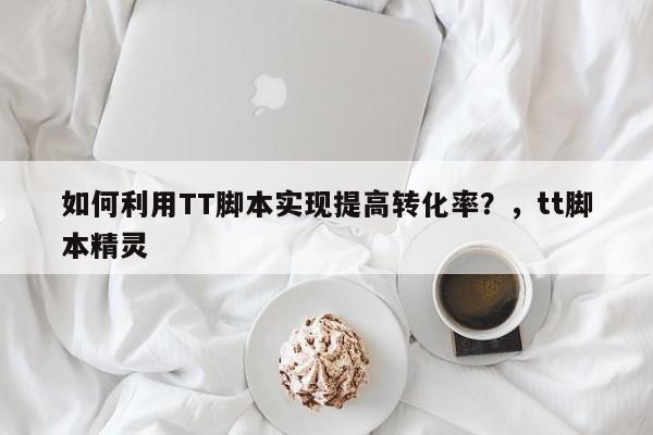 如何利用TT脚本实现提高转化率？，tt脚本精灵