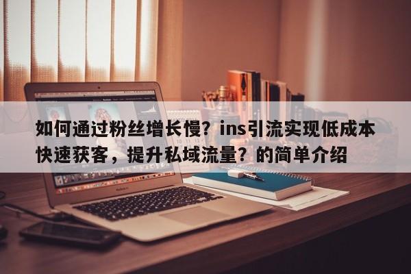 如何通过粉丝增长慢？ins引流实现低成本快速获客，提升私域流量？的简单介绍
