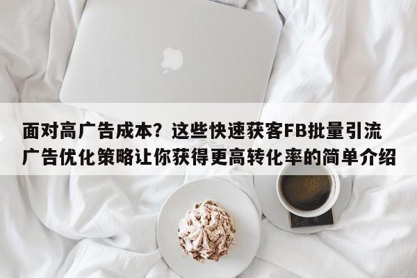 面对高广告成本？这些快速获客FB批量引流广告优化策略让你获得更高转化率的简单介绍