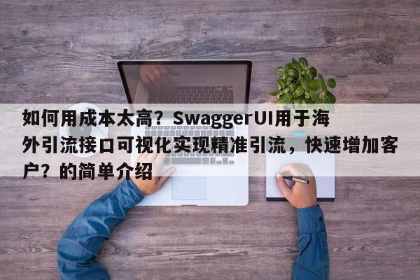 如何用成本太高？SwaggerUI用于海外引流接口可视化实现精准引流，快速增加客户？的简单介绍
