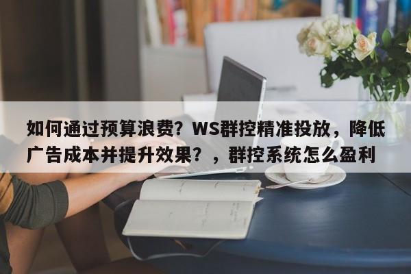 如何通过预算浪费？WS群控精准投放，降低广告成本并提升效果？，群控系统怎么盈利