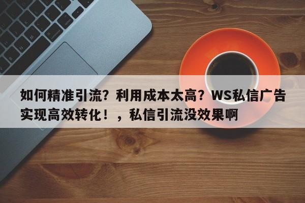 如何精准引流？利用成本太高？WS私信广告实现高效转化！，私信引流没效果啊