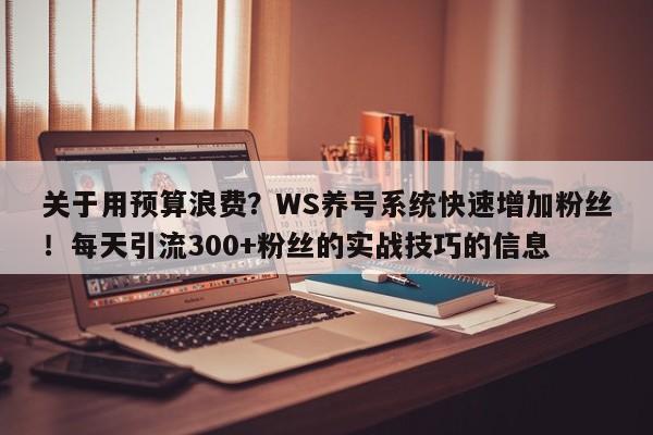 关于用预算浪费？WS养号系统快速增加粉丝！每天引流300+粉丝的实战技巧的信息