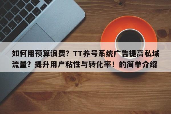 如何用预算浪费？TT养号系统广告提高私域流量？提升用户粘性与转化率！的简单介绍