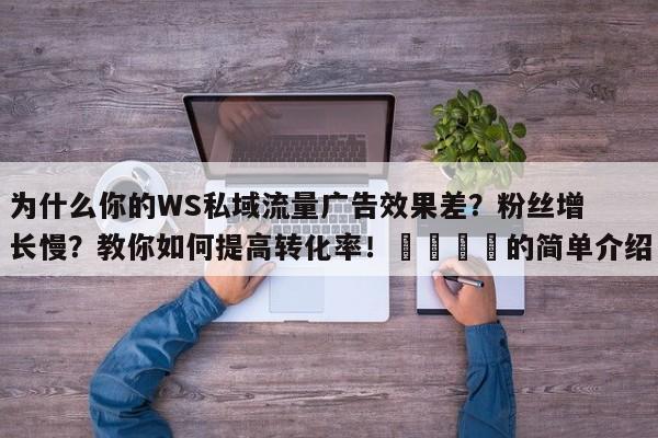为什么你的WS私域流量广告效果差？粉丝增长慢？教你如何提高转化率！📈的简单介绍