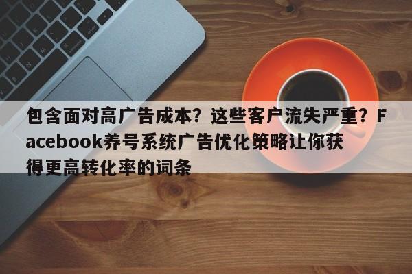 包含面对高广告成本？这些客户流失严重？Facebook养号系统广告优化策略让你获得更高转化率的词条