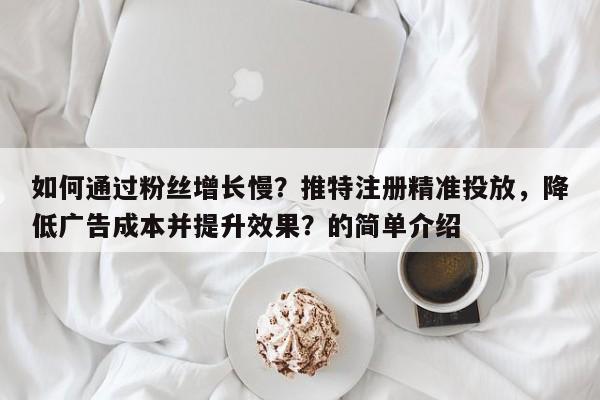 如何通过粉丝增长慢？推特注册精准投放，降低广告成本并提升效果？的简单介绍