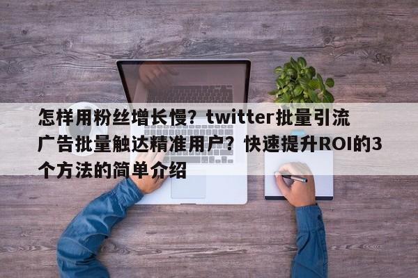 怎样用粉丝增长慢？twitter批量引流广告批量触达精准用户？快速提升ROI的3个方法的简单介绍