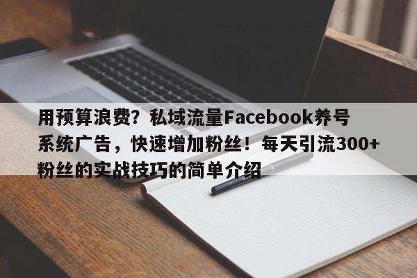 用预算浪费？私域流量Facebook养号系统广告，快速增加粉丝！每天引流300+粉丝的实战技巧的简单介绍