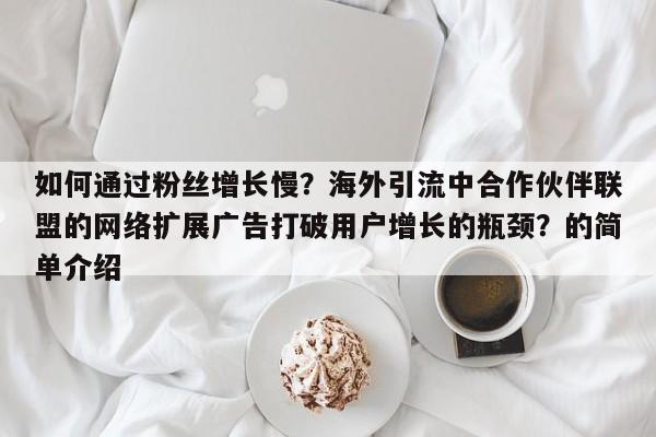 如何通过粉丝增长慢？海外引流中合作伙伴联盟的网络扩展广告打破用户增长的瓶颈？的简单介绍