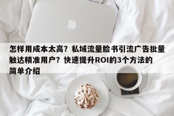 怎样用成本太高？私域流量脸书引流广告批量触达精准用户？快速提升ROI的3个方法的简单介绍