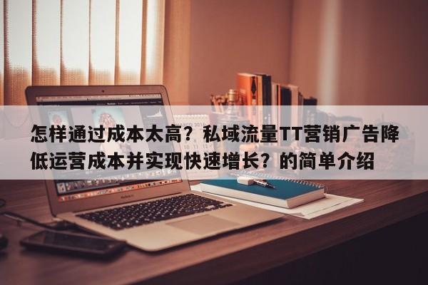怎样通过成本太高？私域流量TT营销广告降低运营成本并实现快速增长？的简单介绍