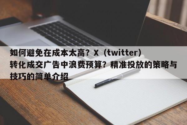 如何避免在成本太高？X（twitter）转化成交广告中浪费预算？精准投放的策略与技巧的简单介绍