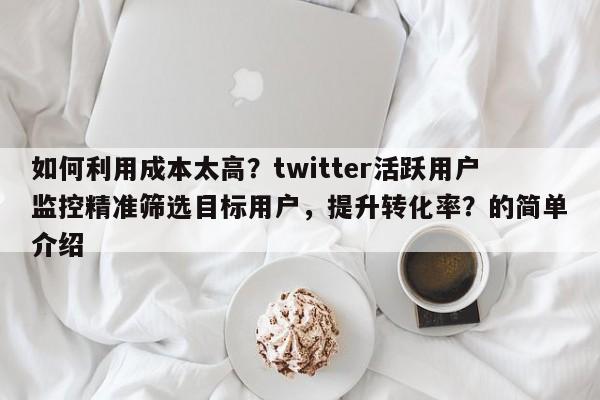 如何利用成本太高？twitter活跃用户监控精准筛选目标用户，提升转化率？的简单介绍