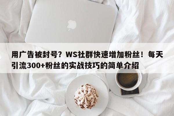 用广告被封号？WS社群快速增加粉丝！每天引流300+粉丝的实战技巧的简单介绍