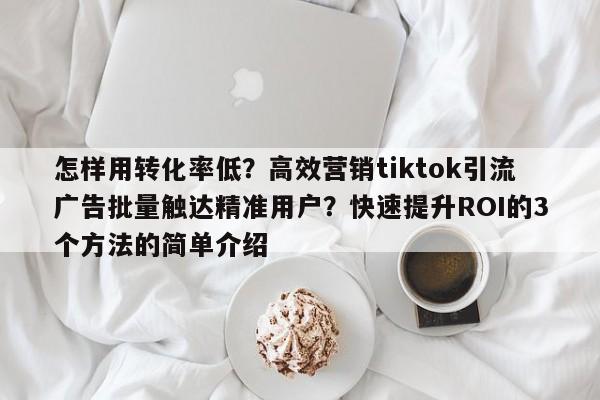 怎样用转化率低？高效营销tiktok引流广告批量触达精准用户？快速提升ROI的3个方法的简单介绍