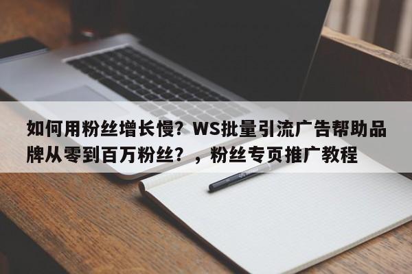 如何用粉丝增长慢？WS批量引流广告帮助品牌从零到百万粉丝？，粉丝专页推广教程