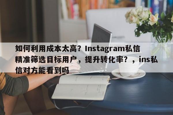 如何利用成本太高？Instagram私信精准筛选目标用户，提升转化率？，ins私信对方能看到吗