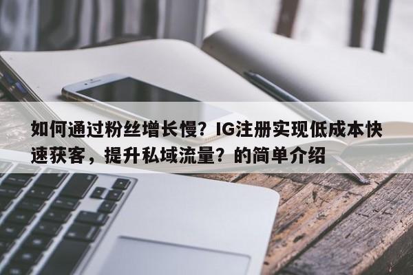 如何通过粉丝增长慢？IG注册实现低成本快速获客，提升私域流量？的简单介绍