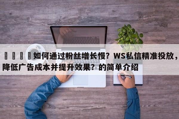 📣如何通过粉丝增长慢？WS私信精准投放，降低广告成本并提升效果？的简单介绍