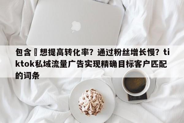 包含⚡想提高转化率？通过粉丝增长慢？tiktok私域流量广告实现精确目标客户匹配的词条