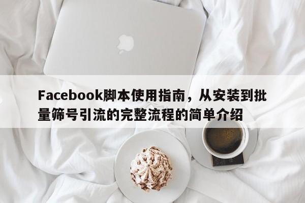 Facebook脚本使用指南，从安装到批量筛号引流的完整流程的简单介绍