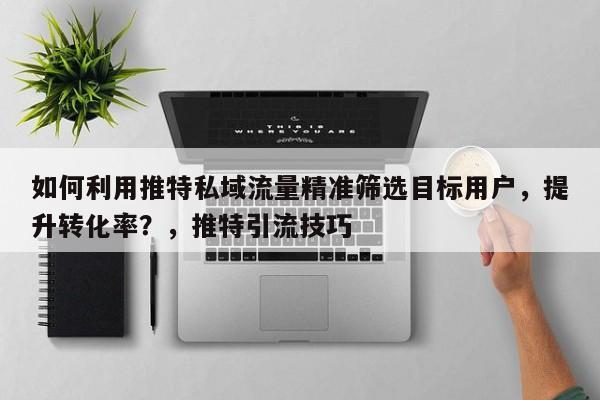 如何利用推特私域流量精准筛选目标用户，提升转化率？，推特引流技巧
