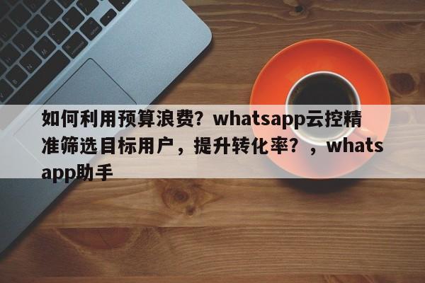 如何利用预算浪费？whatsapp云控精准筛选目标用户，提升转化率？，whatsapp助手