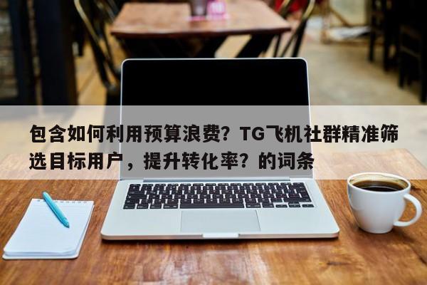 包含如何利用预算浪费?TG飞机社群精准筛选目标用户,提升转化率?的词条