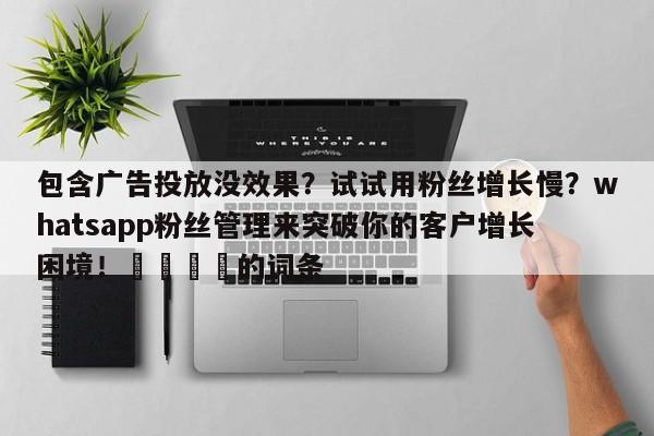 包含广告投放没效果？试试用粉丝增长慢？whatsapp粉丝管理来突破你的客户增长困境！🎯的词条
