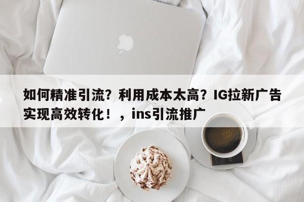 如何精准引流？利用成本太高？IG拉新广告实现高效转化！，ins引流推广
