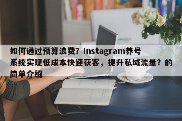 如何通过预算浪费？Instagram养号系统实现低成本快速获客，提升私域流量？的简单介绍