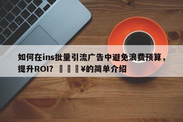 如何在ins批量引流广告中避免浪费预算，提升ROI？🔥的简单介绍