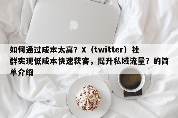如何通过成本太高？X（twitter）社群实现低成本快速获客，提升私域流量？的简单介绍