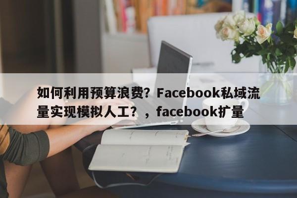如何利用预算浪费？Facebook私域流量实现模拟人工？，facebook扩量