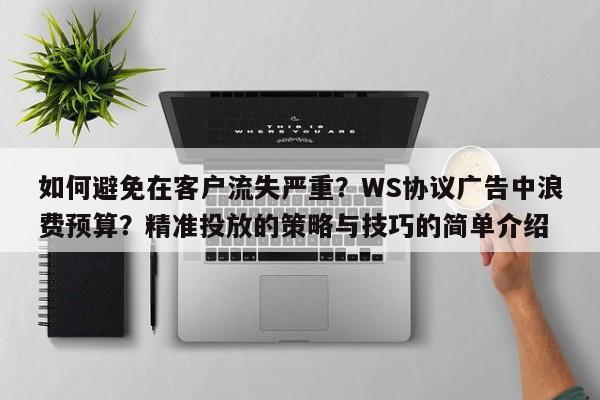 如何避免在客户流失严重？WS协议广告中浪费预算？精准投放的策略与技巧的简单介绍