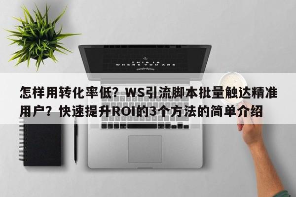 怎样用转化率低？WS引流脚本批量触达精准用户？快速提升ROI的3个方法的简单介绍